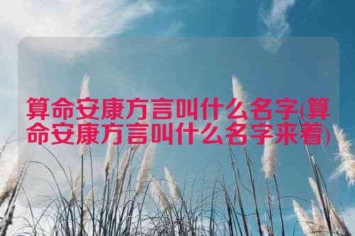 算命安康方言叫什么名字(算命安康方言叫什么名字来着)