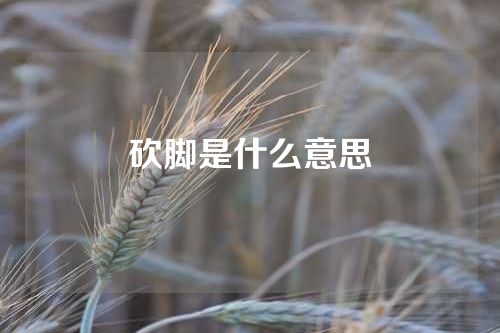 砍脚是什么意思